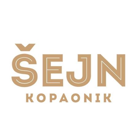 Guesthouse Sejn Копаоник Экстерьер фото